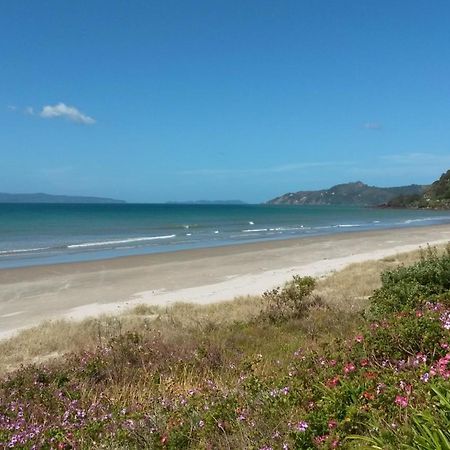 Bed and Breakfast Waimaire Matarangi Esterno foto