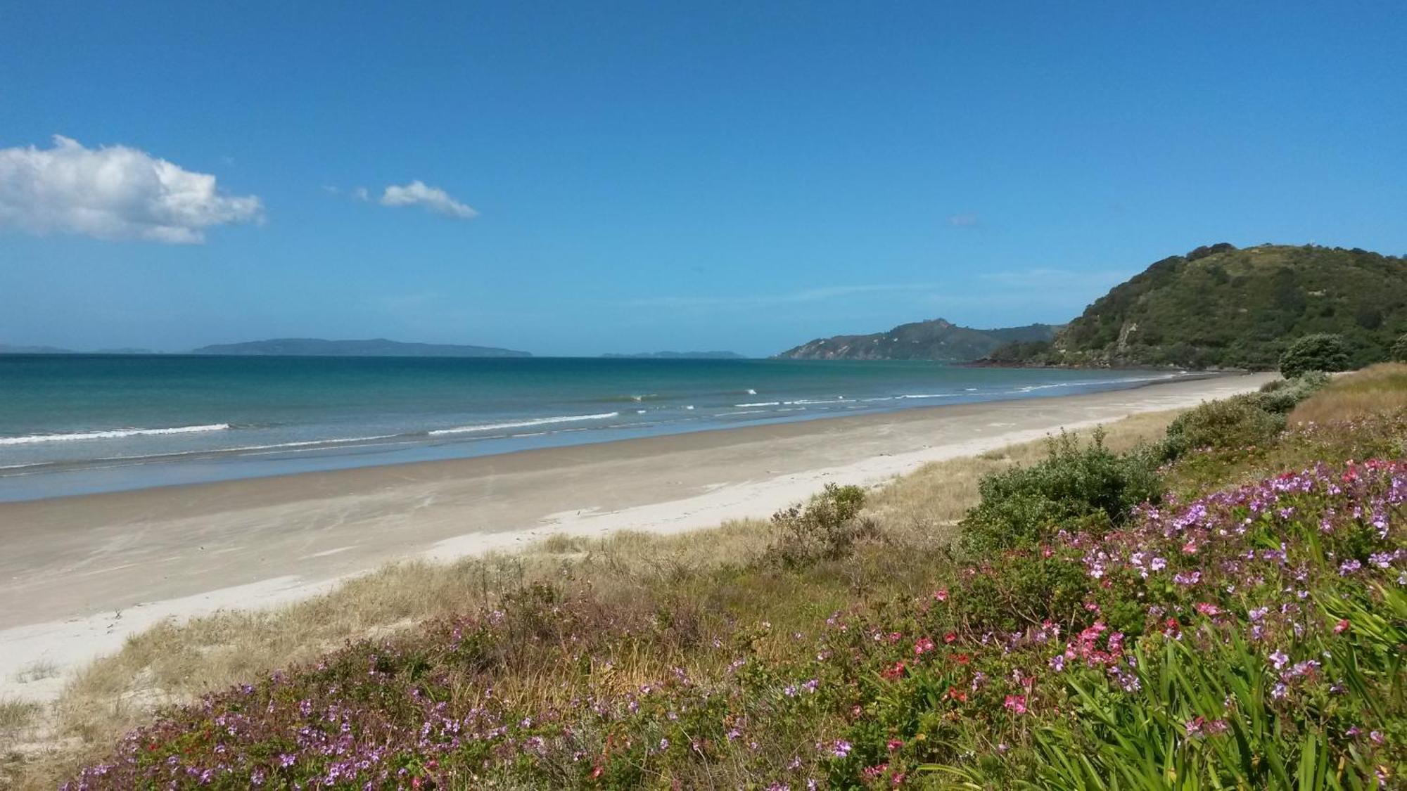 Bed and Breakfast Waimaire Matarangi Esterno foto